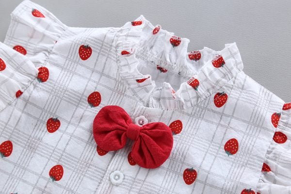Shellkids| Girl full printing strawberry Plaid clothes set, Details
